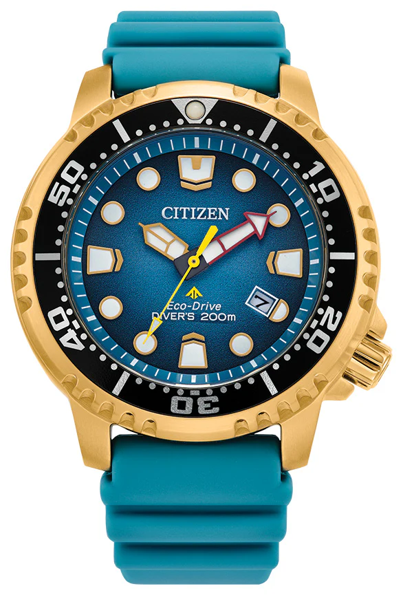 Promaster Dive | BN0162-02X