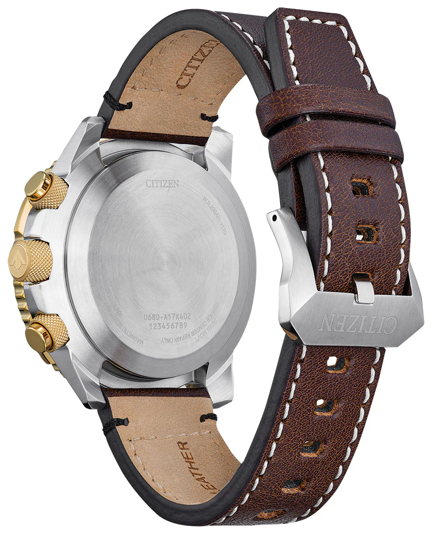 Promaster Skyhawk A-T | JY8084-09H - Image 3